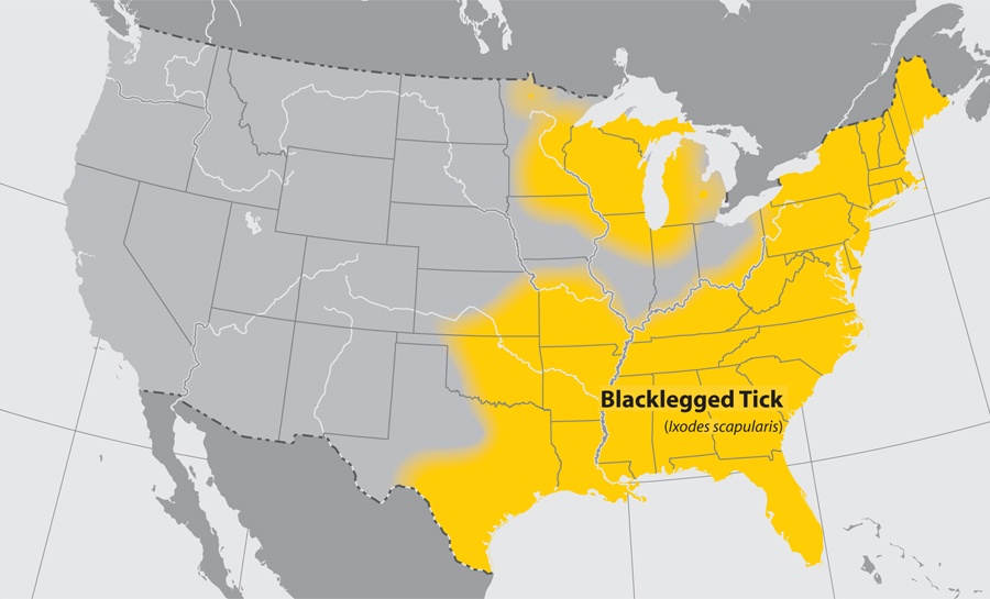 Centers for Disease Control and Prevention - Blacklegged Tick